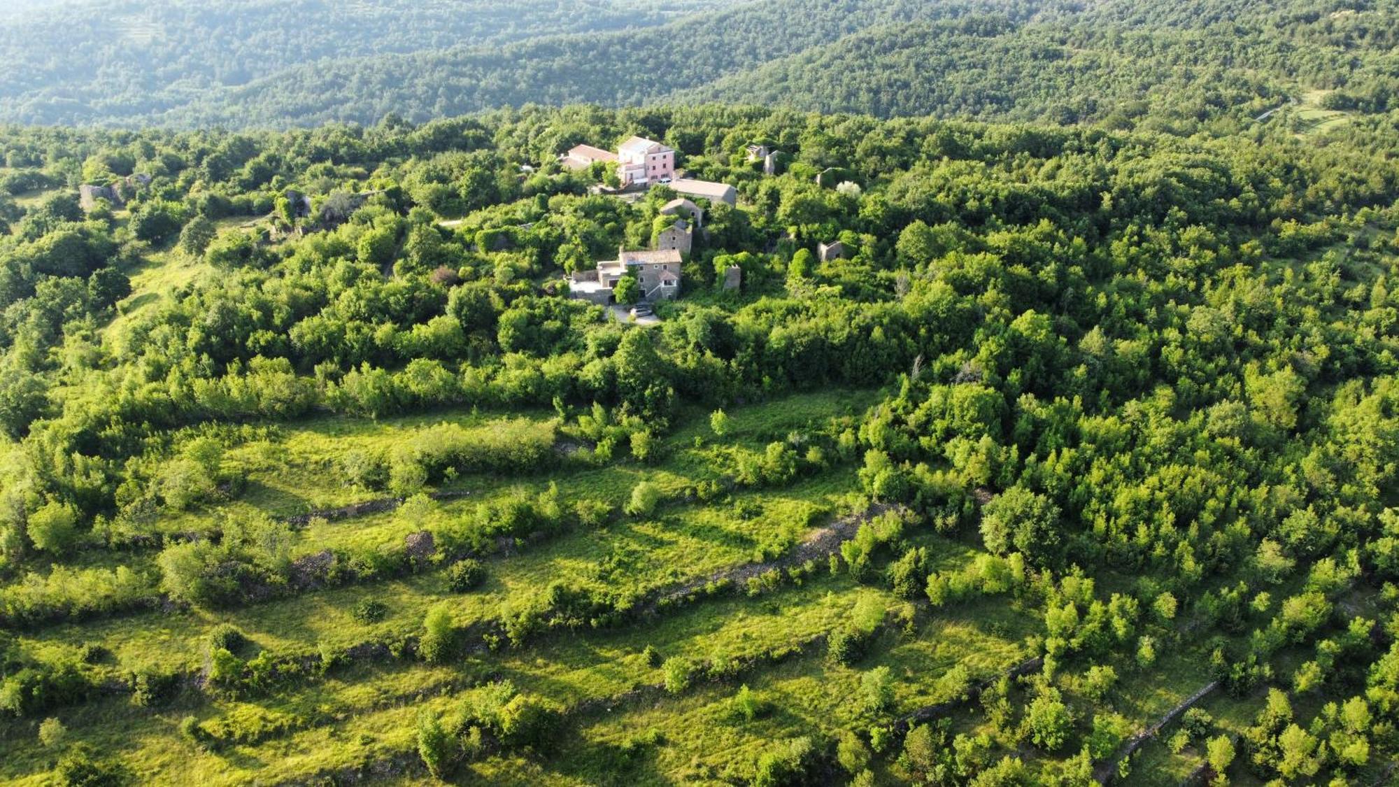 グロジュニャン Casa Del Conte - Peaceful Hideaway In North Istriaヴィラ エクステリア 写真