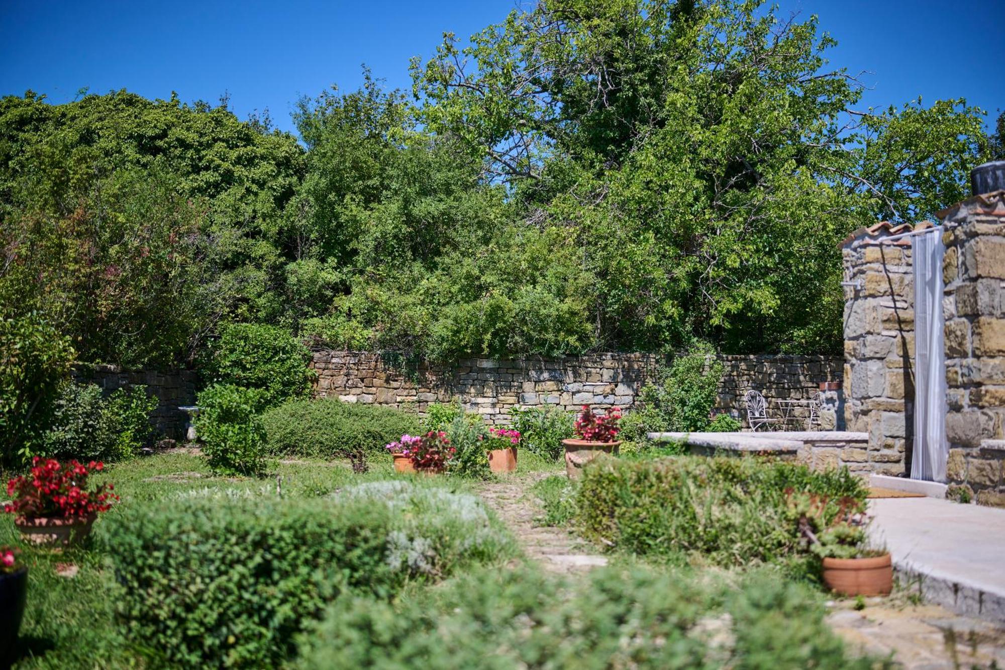 グロジュニャン Casa Del Conte - Peaceful Hideaway In North Istriaヴィラ エクステリア 写真