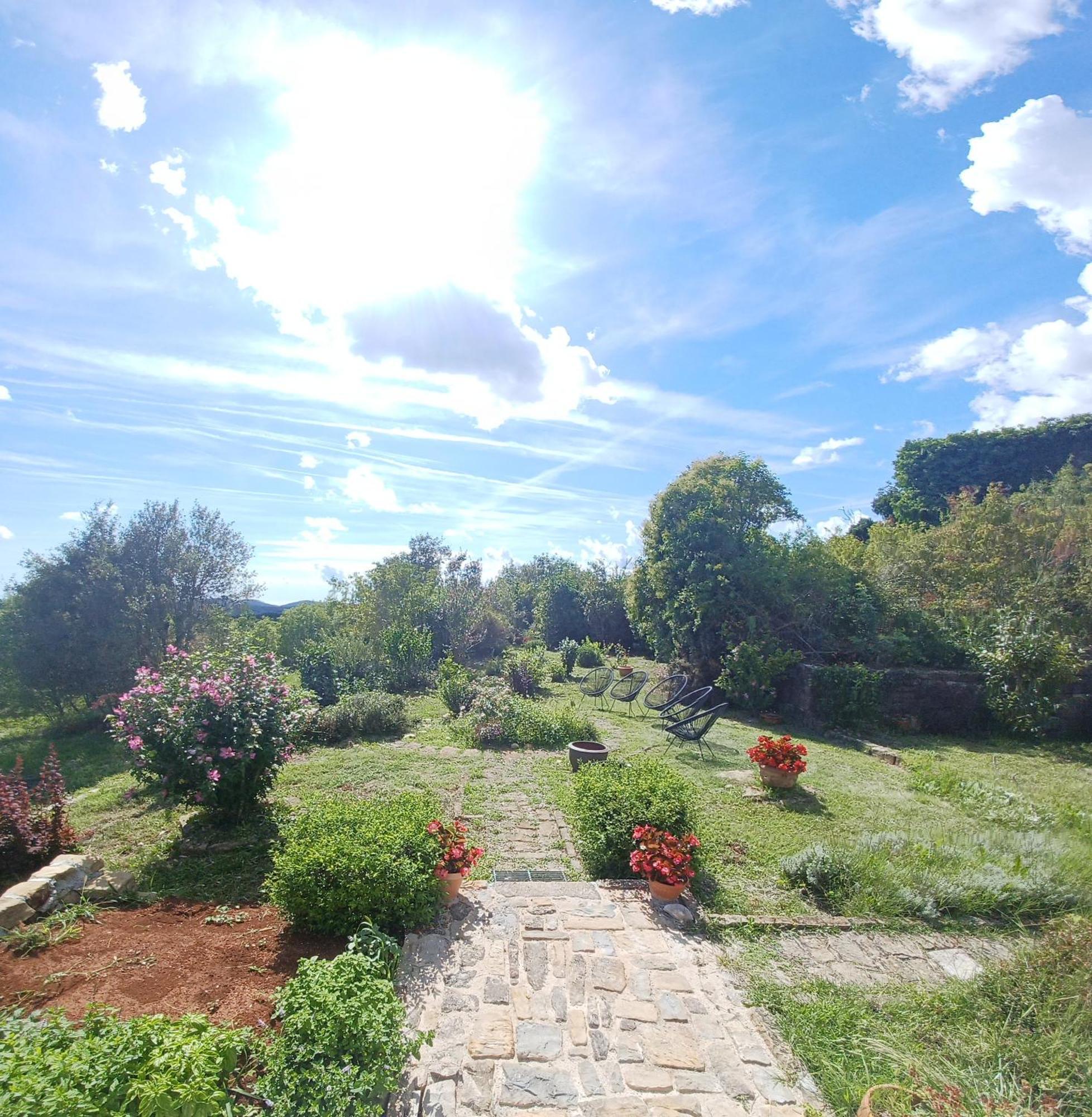 グロジュニャン Casa Del Conte - Peaceful Hideaway In North Istriaヴィラ エクステリア 写真